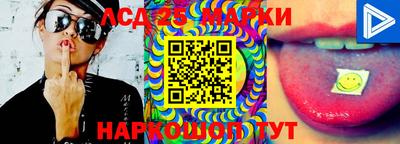 PSILOCYBIN Камышлов